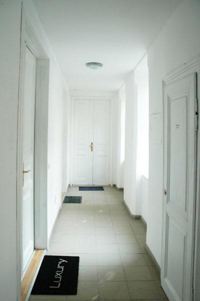 Premium Apartments Klimschgasse فيينا المظهر الخارجي الصورة